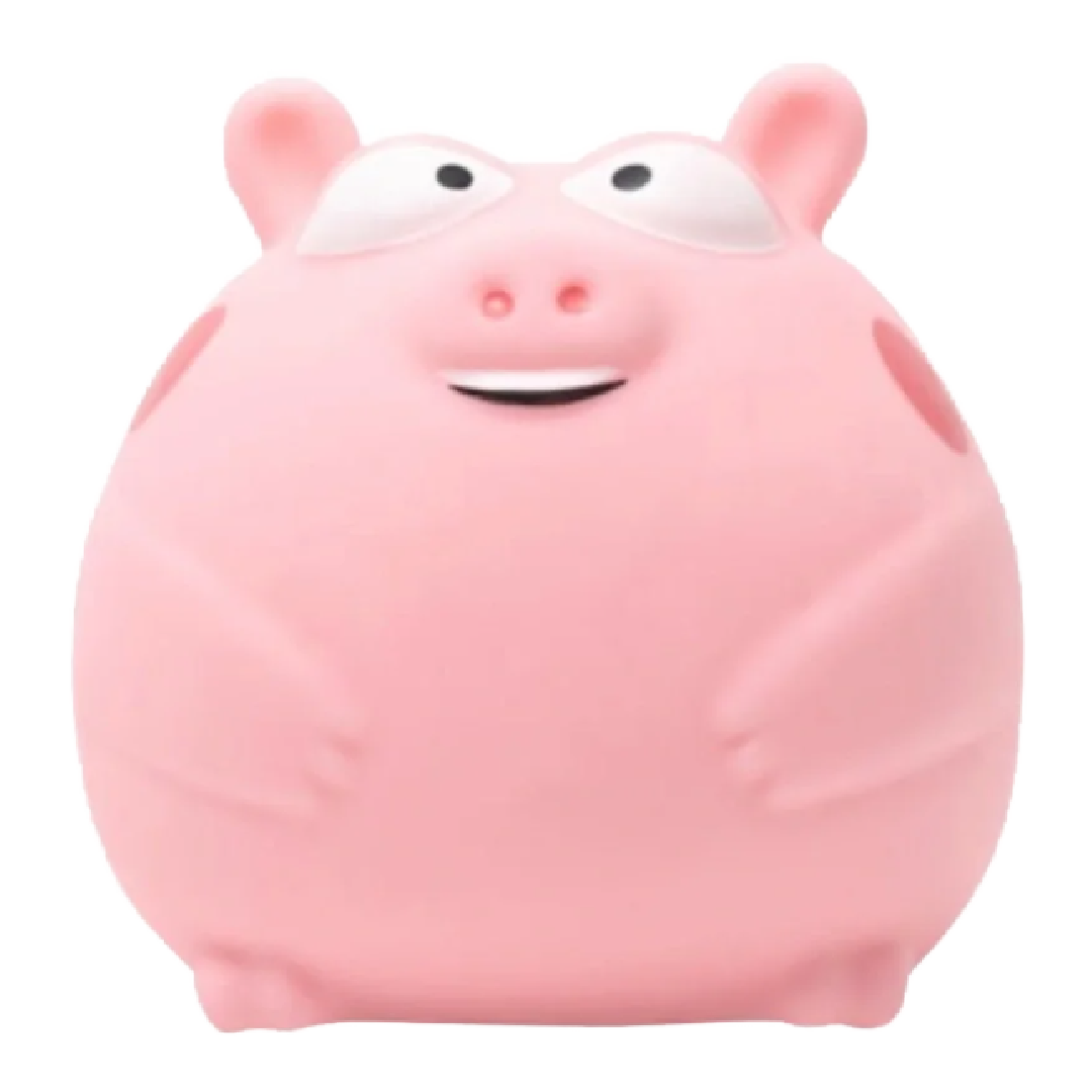Chubby Pig Squishy