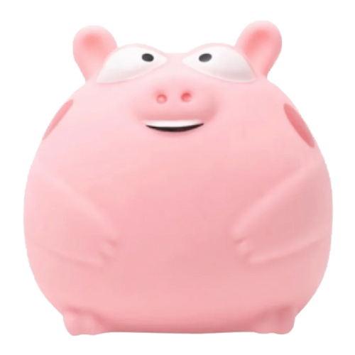 Chubby Pig Squishy